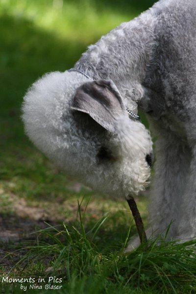 2010-05-29 Alanna und Svet (21).jpg - Airis Blue Volshebny Svet - 2010-05-29